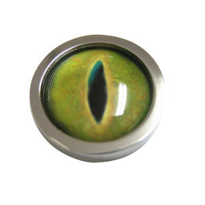 Bordered Green Reptile Eye Design Magnet